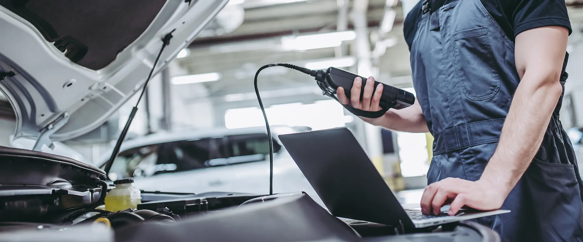 Computer Programming near Andover, MN